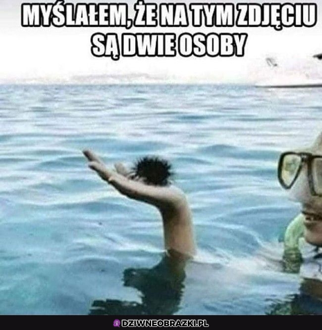 O bez kitu