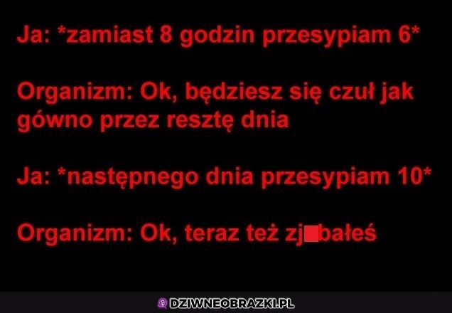 Nie ma wyjść pośrednich