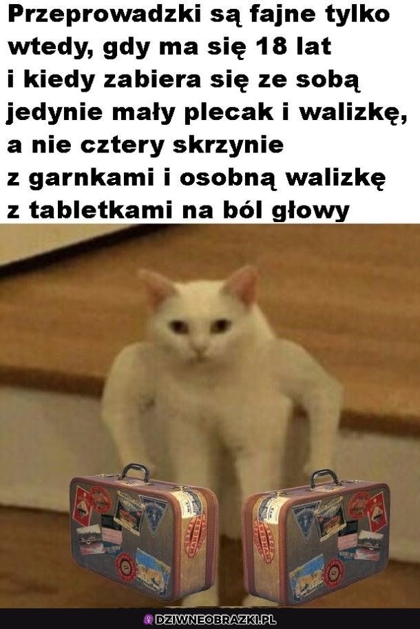 Dokładnie