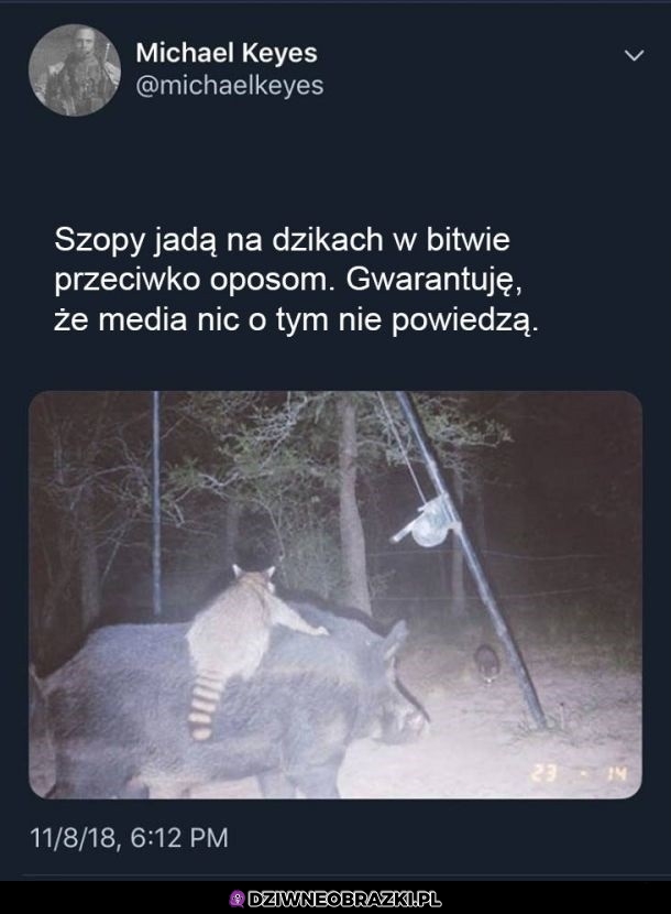 Media milczo