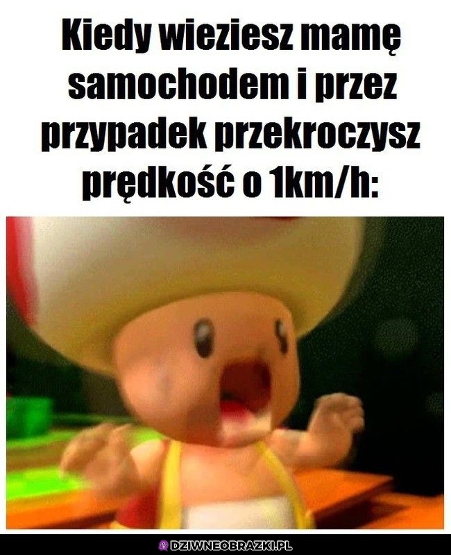 Wszystkich pozabijasz!