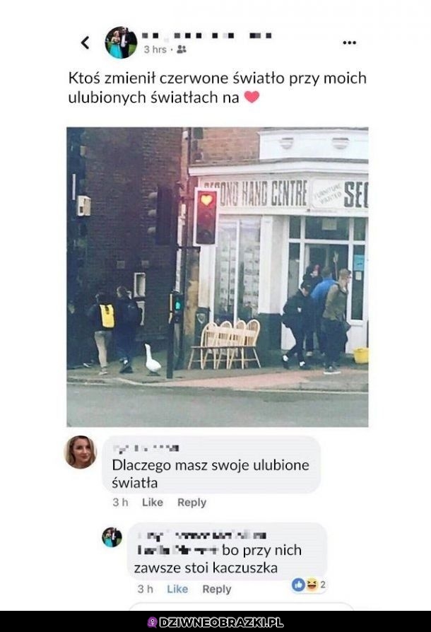 Ulubione światła