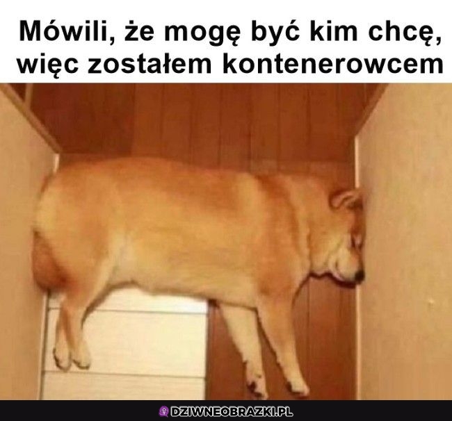 Osiągniecie mojego życia