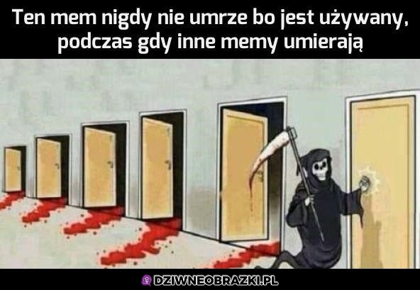 Zawsze będzie potrzebny