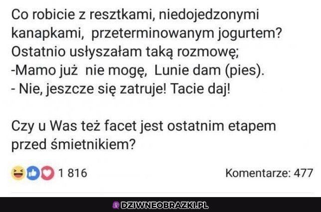 Ostatni etap