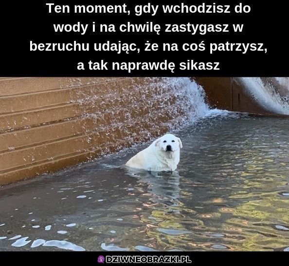Ten moment