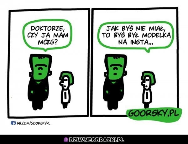 Mózg