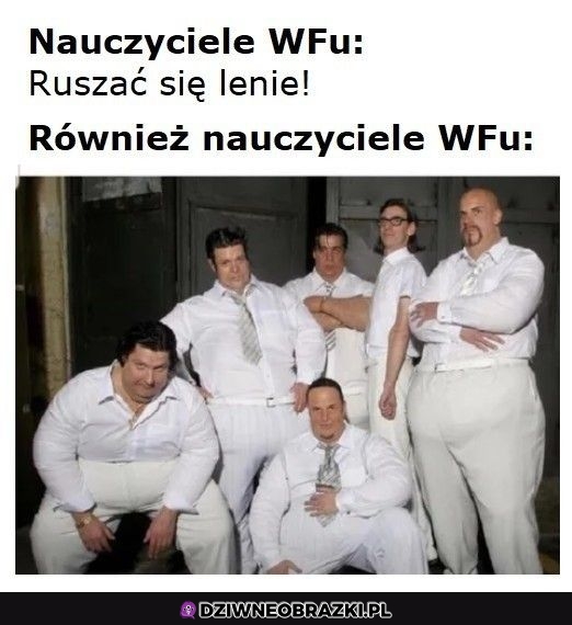 Typowi wfiści