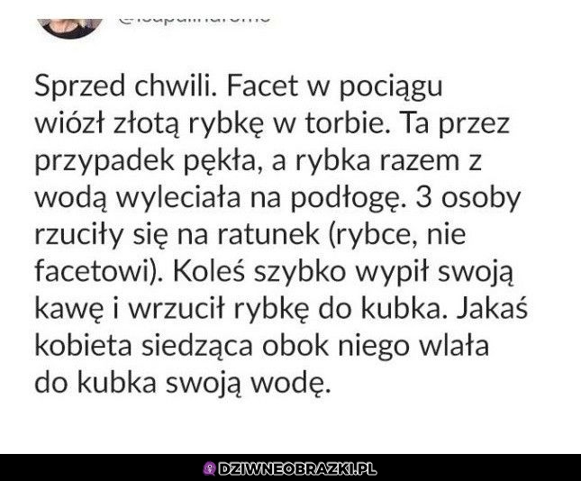 Dramatyczne sceny w PKP