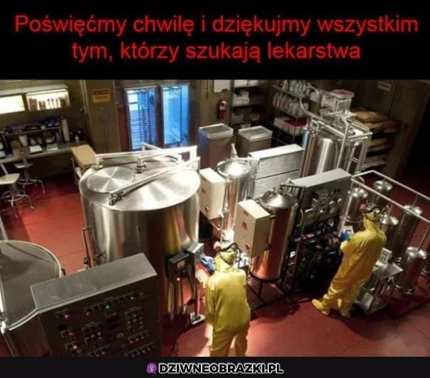 Dziękujemy