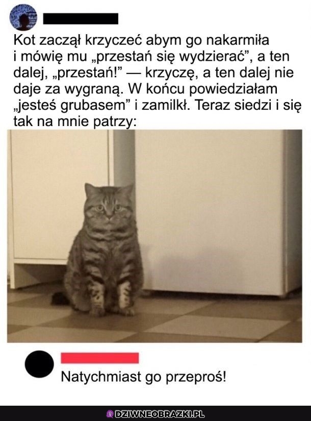 No dobra, przeproś go