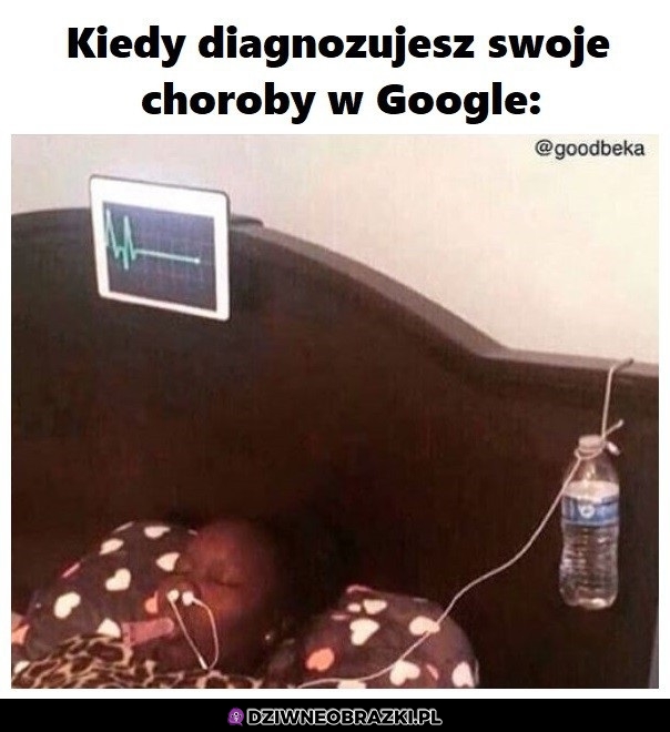 Choroby według google