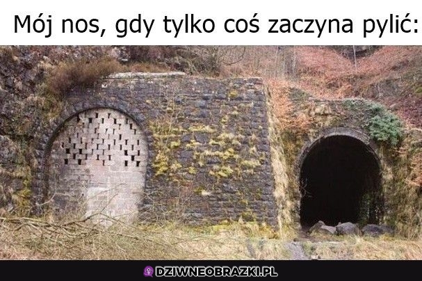 Co roku to samo