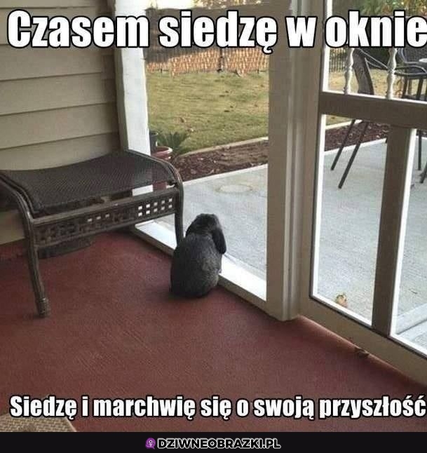 Czasem tak ostatnio mam