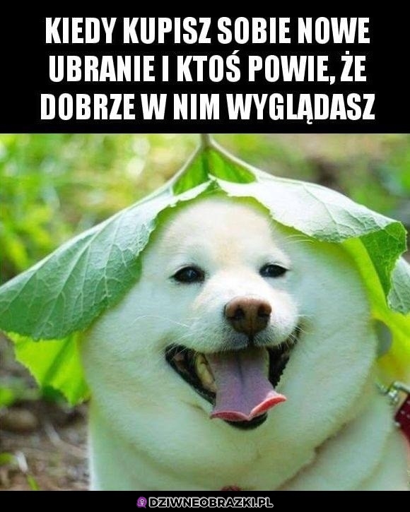 Dzięki