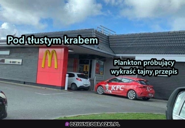 Spongebob