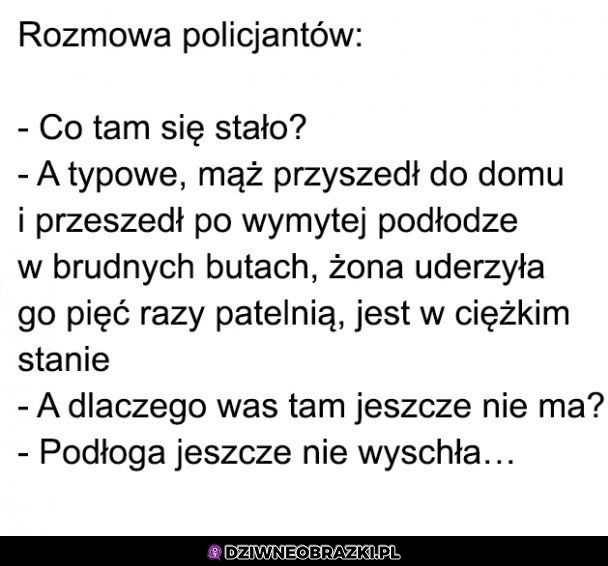 Co się stało się