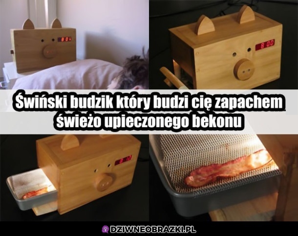Potrzebuję tego