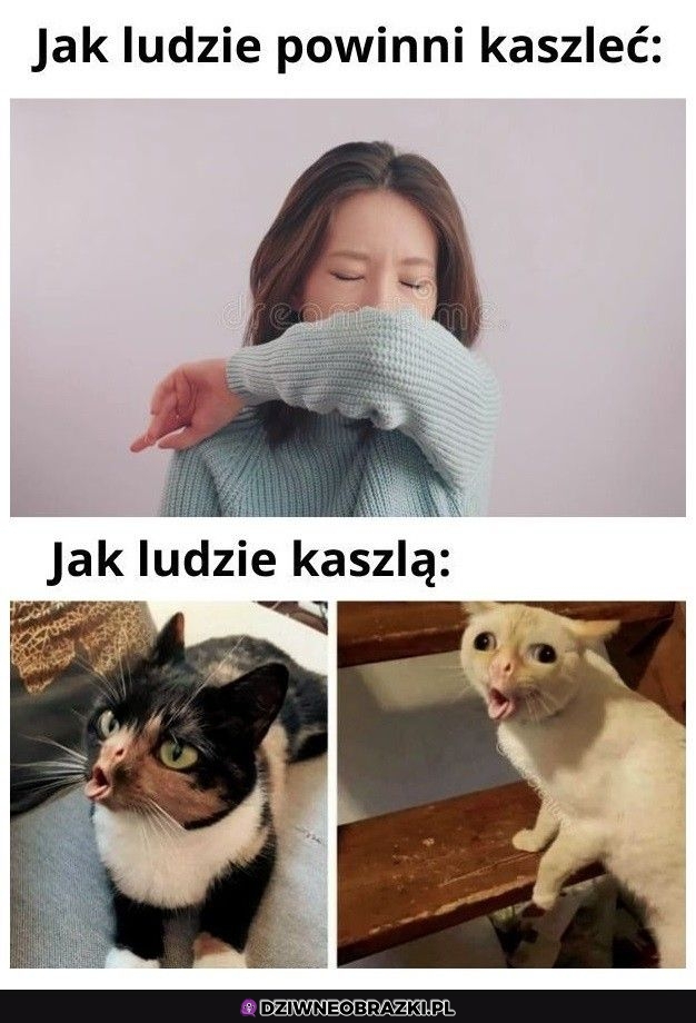 Zwłaszcza w busie