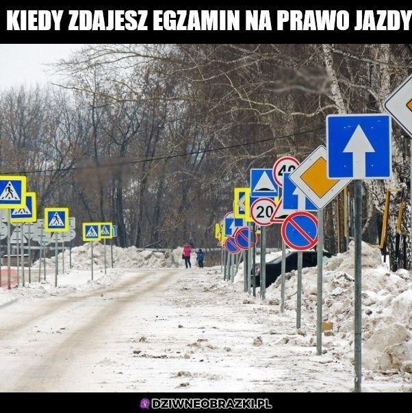 Kiedy zdajesz prawko