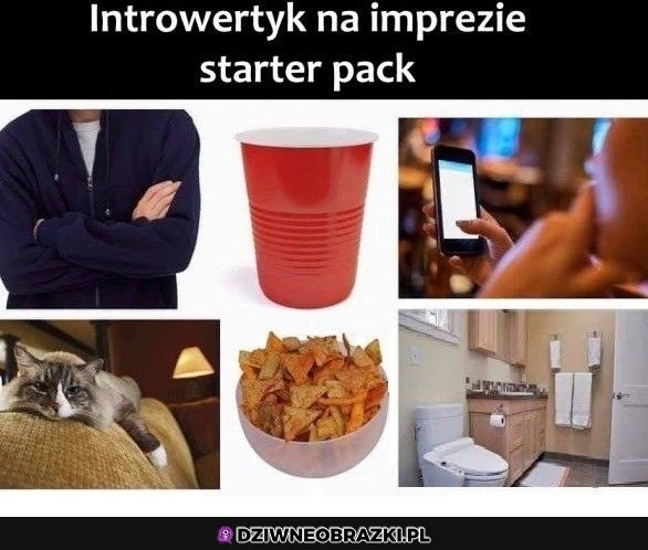 Introwertyk na imprezie