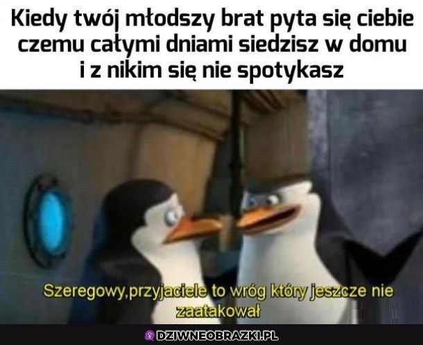 To pytanie