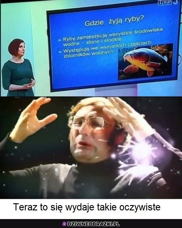 Dzięki za info