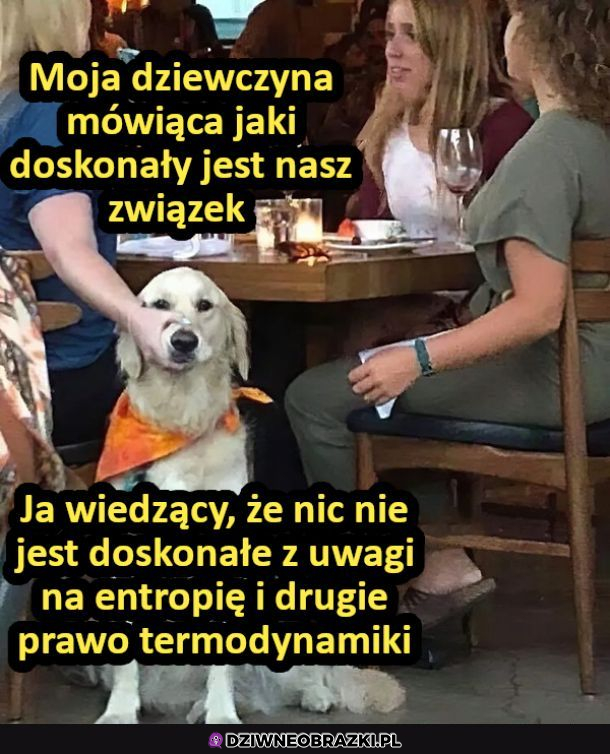 życie nie jest doskonałe