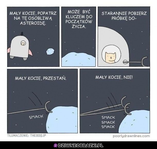 Asteroida