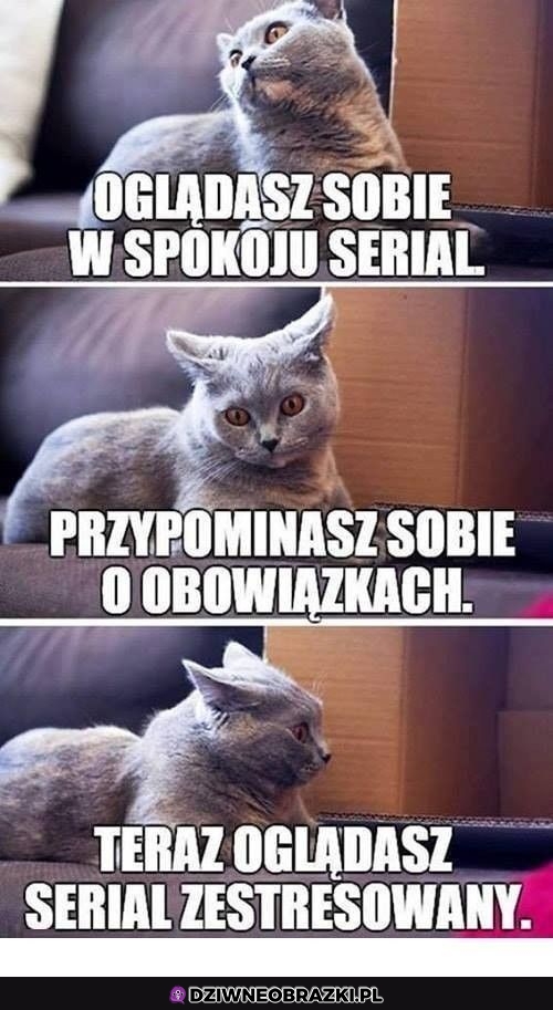 Ten moment