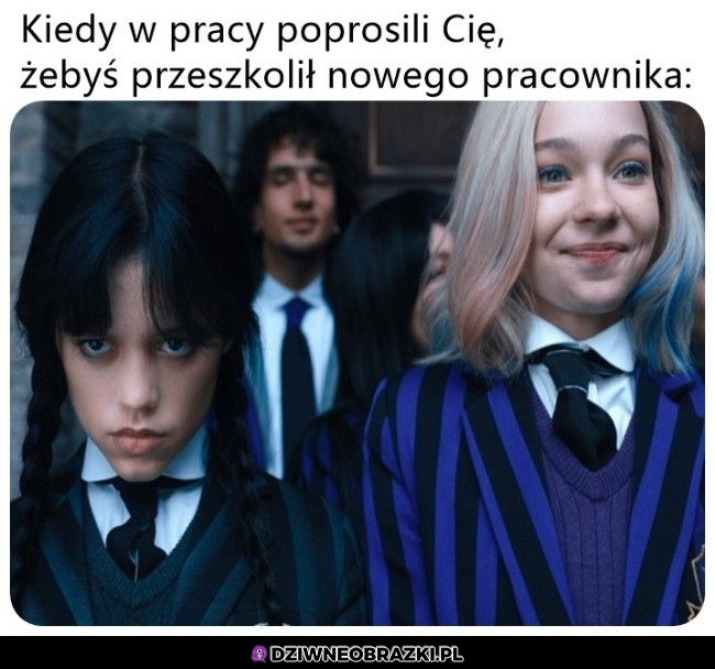 Tak to działa