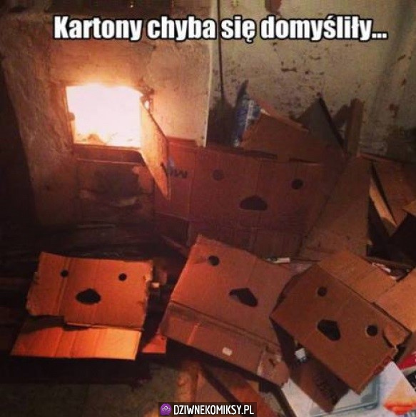 Kartony