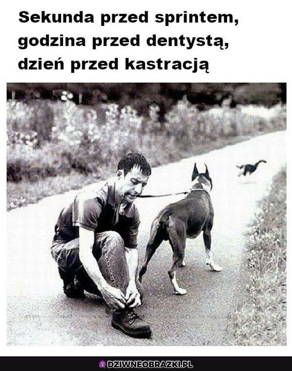 Idealny moment