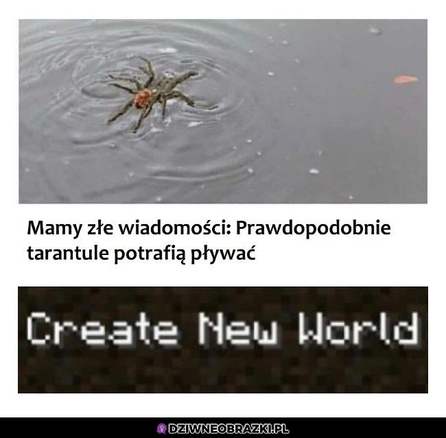 Zła wiadomość