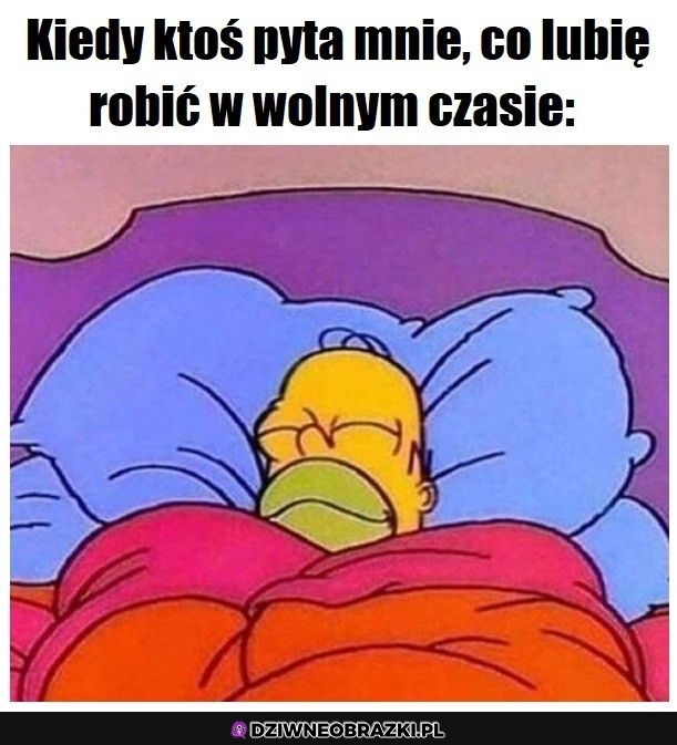 Ulubione zajęcie