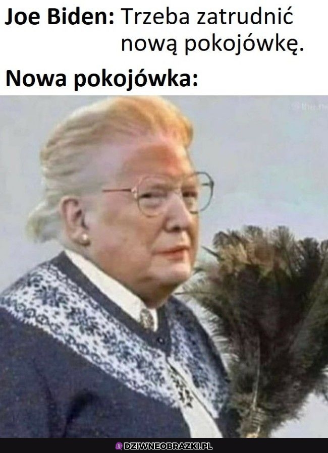 Nowa pokojówka