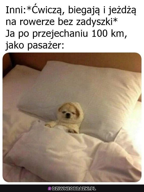 Kiedy jesteś pasażerem