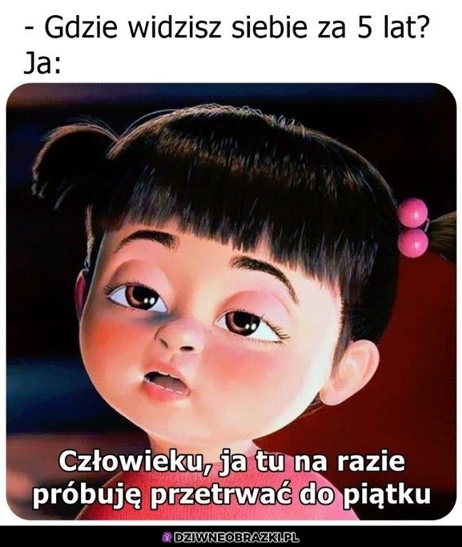 Właśnie tak żyję