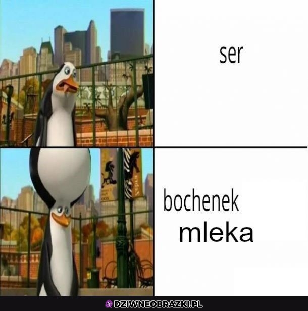 Inne spojrzenie na ser