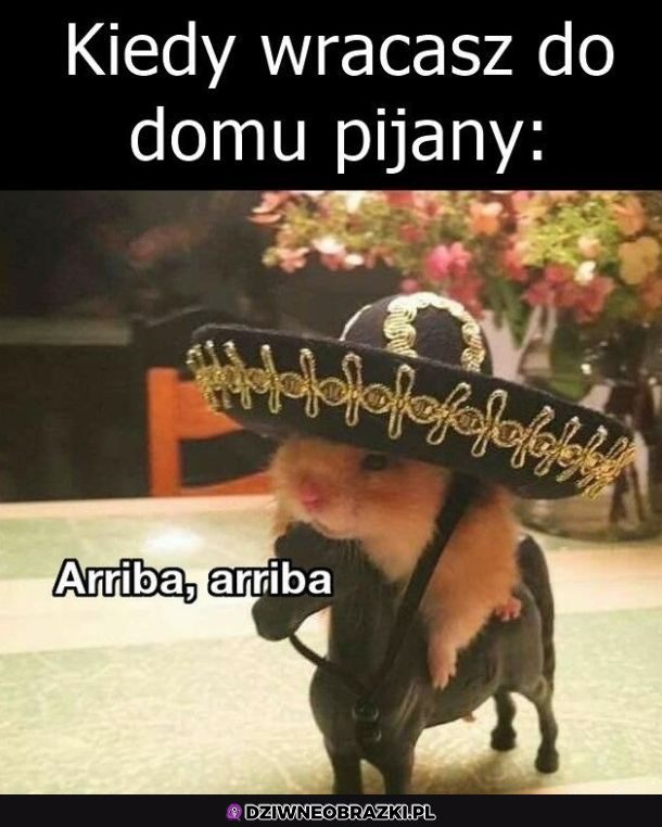 Kiedy za dużo wychlasz