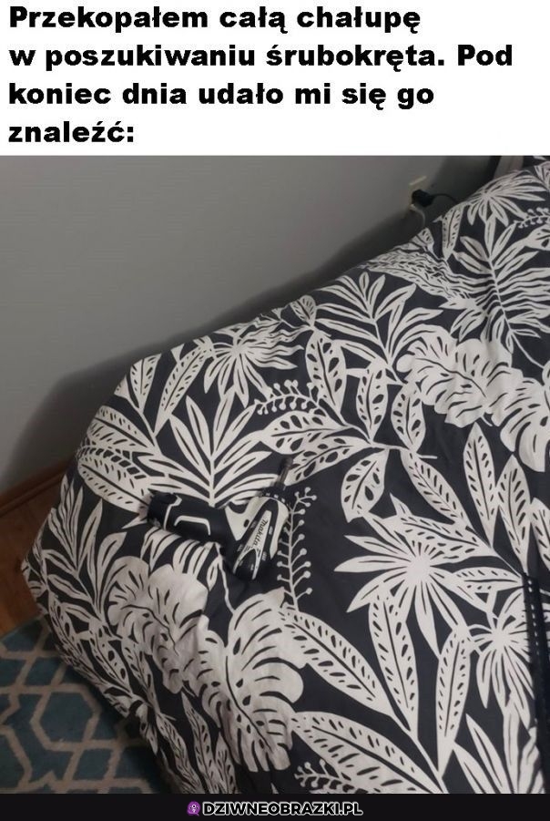 Zaginął