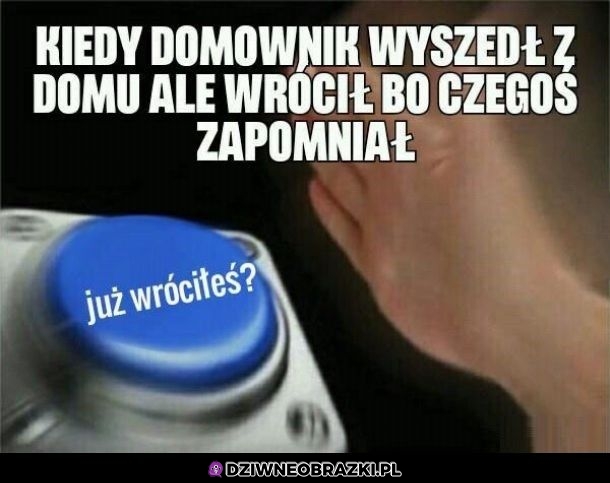 Zawsze