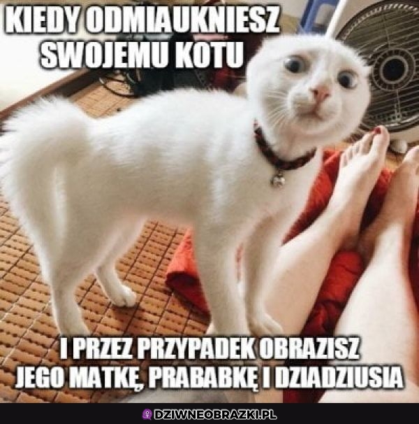 Ten moment