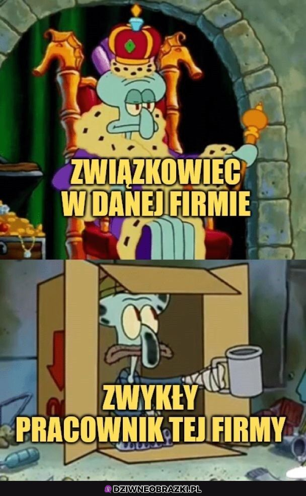 Typowy związkowiec