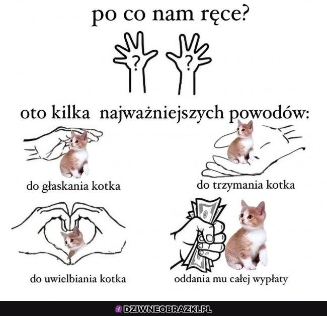 Po to są ręce