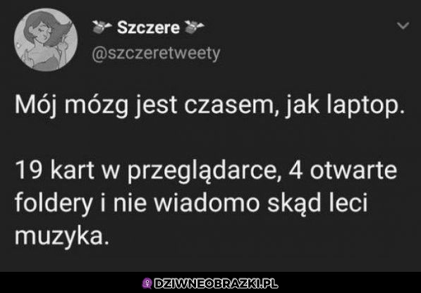 Tak czasem wygląda mój mózg