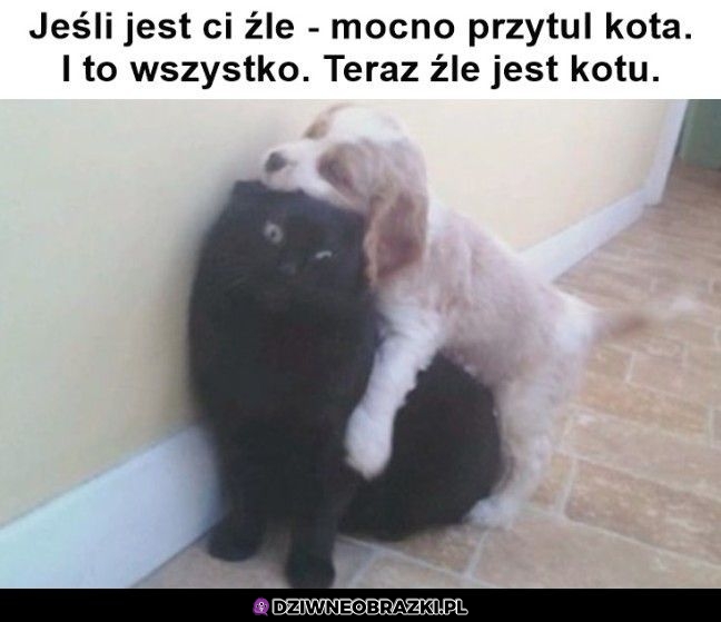 Tak to działa