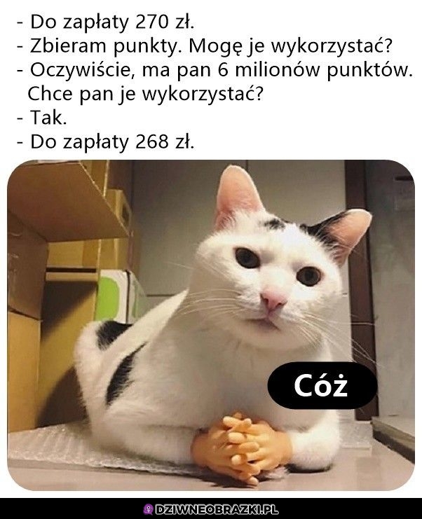 Wykorzystanie punktów