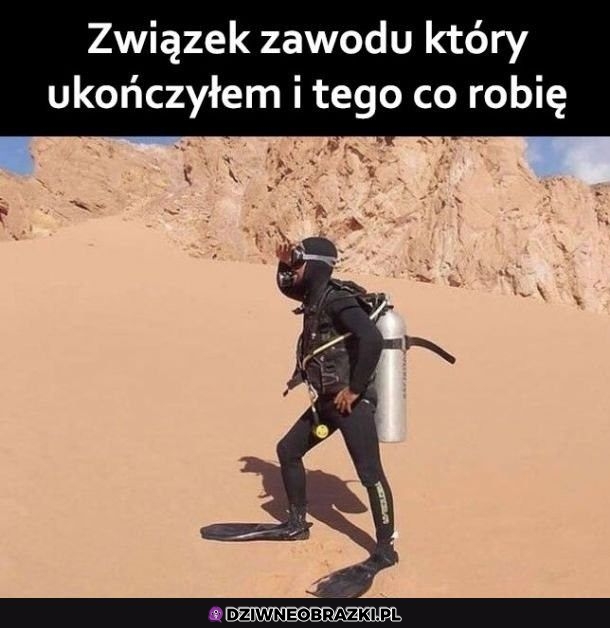 Tyle ma to ze sobą wspólnego