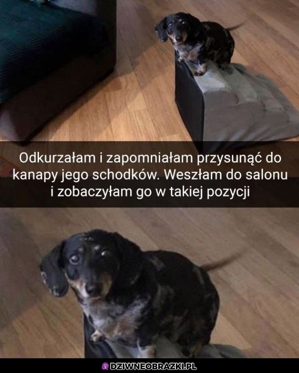 No weź przysuń